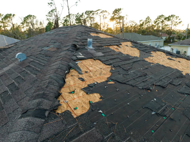 Best Roof Moss and Algae Removal  in Grimes, IA